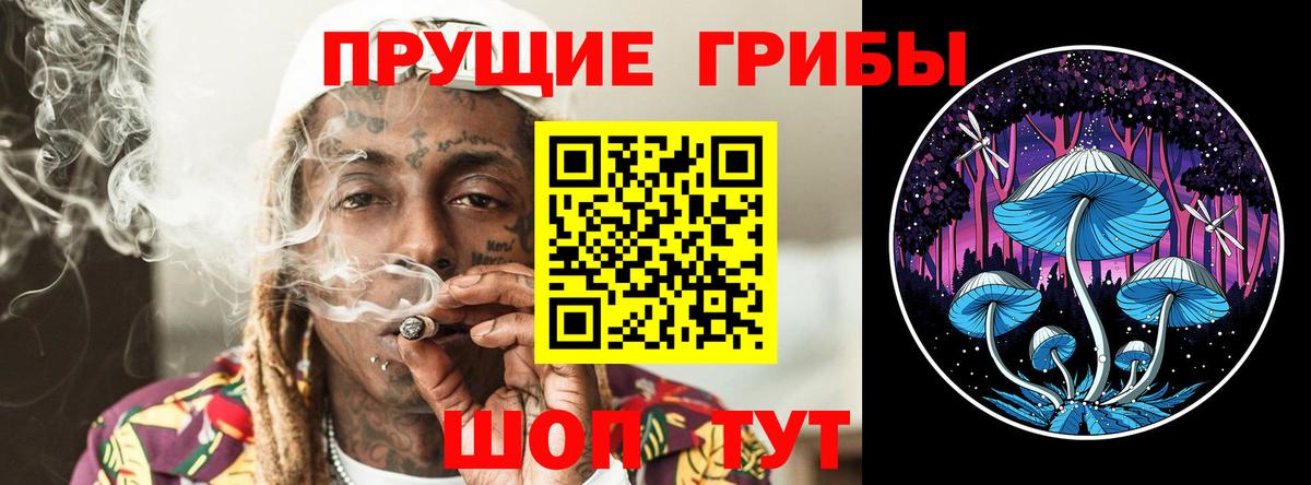 Галлюциногенные грибы прущие грибы  купить  сайты  Урюпинск  Вход с VPN 