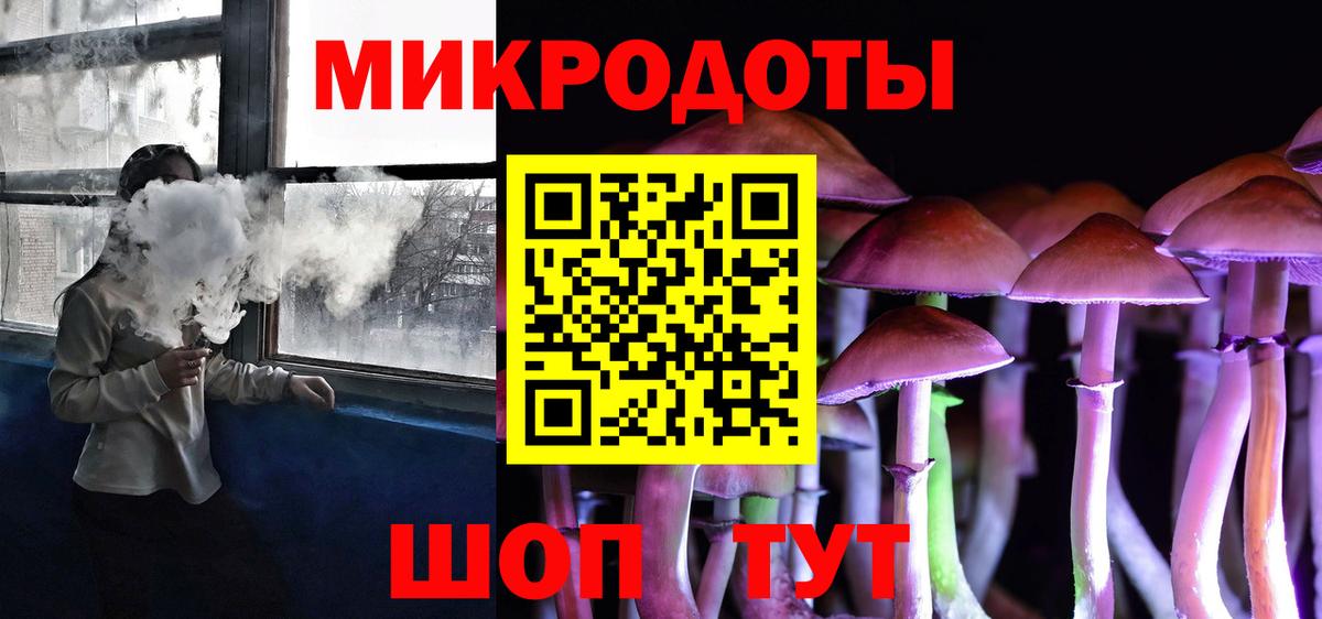 Псилоцибиновые грибы Psilocybine cubensis Урюпинск
